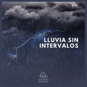 Lluvia Sin Intervalos - Lluvia Del Bosque