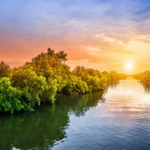 Water's Serenity: River's Harmonious Choir - Water FX