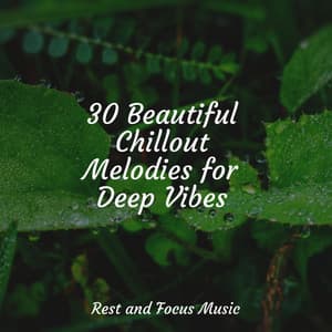 30 Beautiful Chillout Melodies for Deep Vibes - Bath Spa Relaxing Music Zone