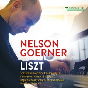 Liszt: 12 études d'exécution transcendante - Piano Sonata in B Minor, S. 178 - Ballade No. 2 in B Minor, S. 171 - Bagatelle sans tonalité, S. 216a - Isoldes Liebestod, S. 447 - Mephisto Walzer No. 1, S. 514 - Franz Liszt