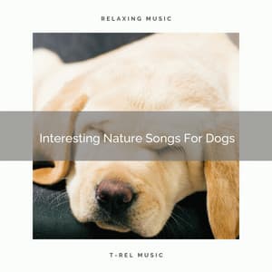 Interesting Nature Songs For Dogs - Pets Total Relax