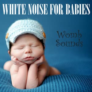 White Noise for Babies: Womb Sounds - Background Noise From TraxLab
