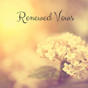 Renewed Vows - Tight Chill Creator