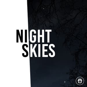 Night Skies - Nature Ambience