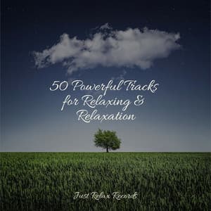 50 Powerful Tracks for Relaxing & Relaxation - Study Music & Sounds