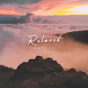 Relaxed Nature - Rain Recorders