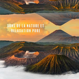 Sons de la nature et relaxation pure: La musicothérapie New Age pour un meilleur bien-être - Oasis Des Bruits Naturels