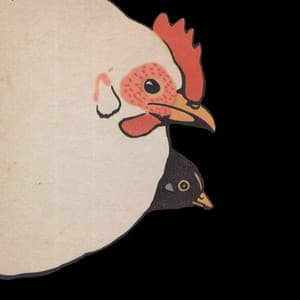 One Bird Two Bird - Jim O'Rourke