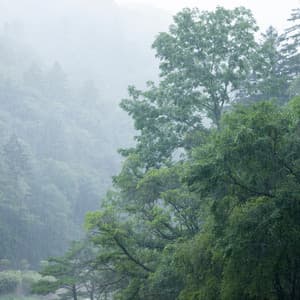 Cognitive Channels: Chill Music Rain Study - Morning Chill Playlist
