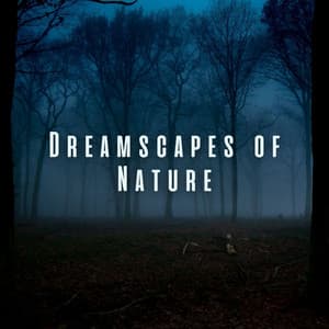 Dreamscapes of Nature: Chill Sounds for Restful Sleep - The Outdoor Library