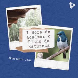 1 Hora de Acalmar o Piano da Natureza - Sonolento Jose