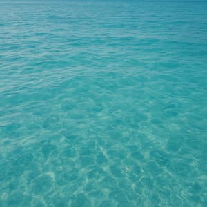 50 Flowing Soundscapes: Beneath The Calm Surface - Seascapers