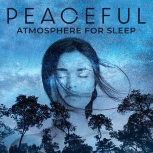 Peaceful Atmosphere for Sleep: Relaxing New Age Music. Nap Time with Nature and Celtic Harp Sounds - Natural Sleep Aid Ensemble