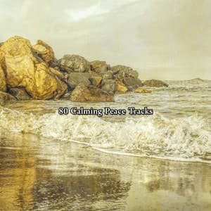 80 Calming Peace Tracks - Meditation Group