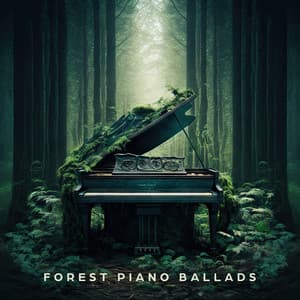 Forest Piano Ballads: Deep Relaxation, Sleep Soft Melodies, Peaceful Nature - Trouble Sleeping Music Universe