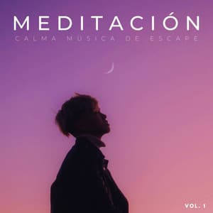 Meditación: Calma Música De Escape Vol. 1 - Meditación Trascendental
