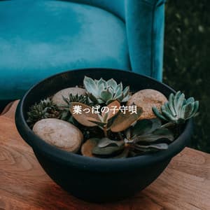 葉っぱの子守唄 - Restaurante Jazz