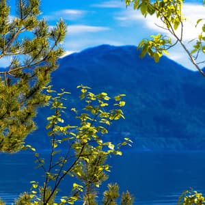 Study Music. White Noise for Study and Work. Focus Sounds. - White Noise for Studying