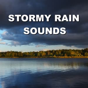 Stormy Rain Sounds - Wind and Rain Sounds