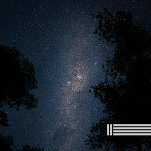 Natural Night Sounds - Night Sounds