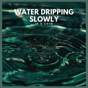 Water Dripping Slowly in a Cave - Background Noise From TraxLab