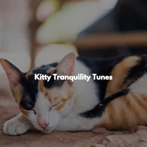 Kitty Tranquility Tunes - Casual Hotel Lobby Music