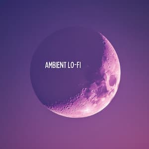 When We First Met - Romantic Lofi - Ambient Lo-Fi