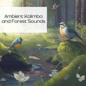 Ambient Kalimba and Forest Sounds - Yoga Society