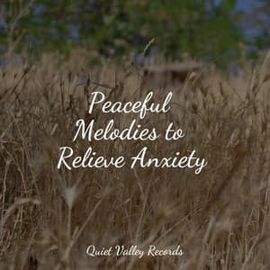 Peaceful Melodies to Relieve Anxiety - Happy Baby Lullaby Collection