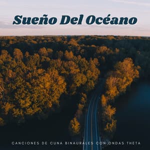 Sueño Del Océano: Canciones De Cuna Binaurales Con Ondas Theta - Ritmos binaurales Tonos para dormir