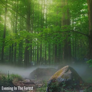 Evening In The Forest - Water World