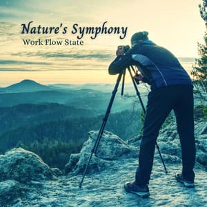 Nature's Symphony: Work Flow State - Mother Nature Recordings