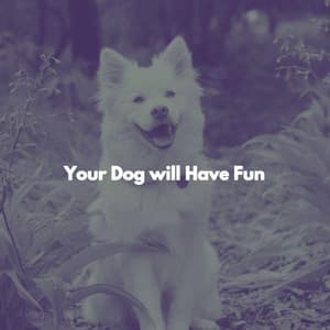 Your Dog will Have Fun - Musica di Sottofondo Jazz