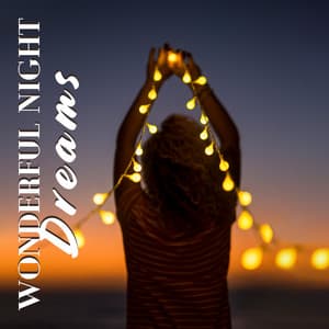 Wonderful Night Dreams: Relaxation, Fall Asleep, Restful Night - Sleep Music 101