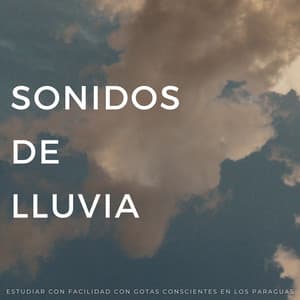 Sonidos De Lluvia: Estudiar Con Facilidad Con Gotas Conscientes En Los Paraguas - Estudio de sonidos de lluvia