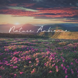 Nature Ambience: Sounds of World, Listen to Nature, Time for Rest, Clearing Mind - Relaxing Nature Sounds Collection
