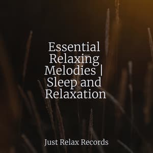 Essential Relaxing Melodies | Sleep and Relaxation - Yoga Music