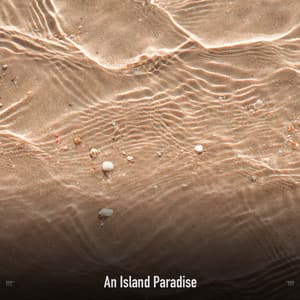 !!!!" An Island Paradise "!!!! - Ocean Waves