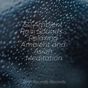 50 Ambient Rain Sounds - Relaxing Ambient and Asian Meditation - Relaxing Music