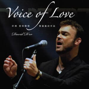 Voice Of Love 2 - David D'Or