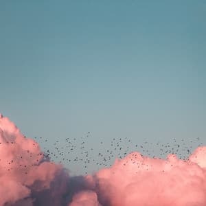 Calm Melodies for Total Relaxation - Rest & Relax Nature Sounds