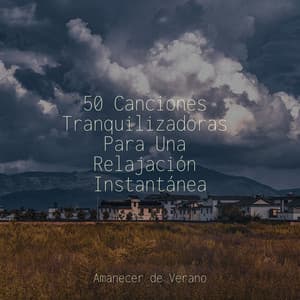 50 Canciones Tranquilizadoras Para Una Relajación Instantánea - Calm Music for Studying