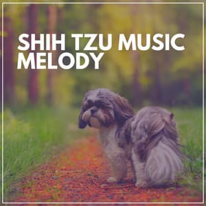 Shih Tzu Music Melody - Sleeping Music For Dogs