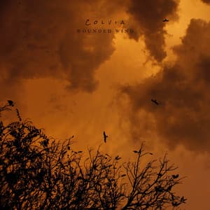 Wounded Wind - Colvia