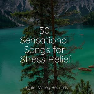 50 Sensational Songs for Stress Relief - Shakuhachi Sakano