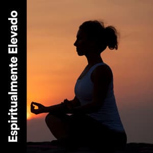 Espiritualmente Elevado - Templo Tibetano da Meditação de Buddha