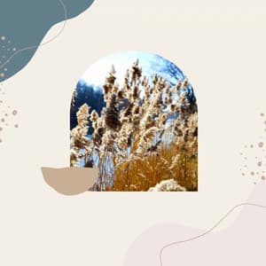 Backdrop for Resting Easy - Mattina Jazz