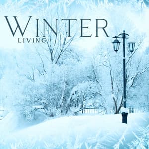Winter Living: Beautiful Instrumental New Age Music for Perfect Relaxing - New Age Harmonic Melodies