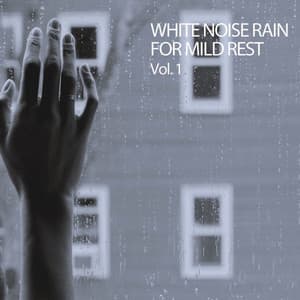 Stream Rain Sounds For Stress Relief Vol. 1 - Stress Relief Helper