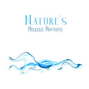 Nature's Aqueous Rhythms - Natures Orchestra